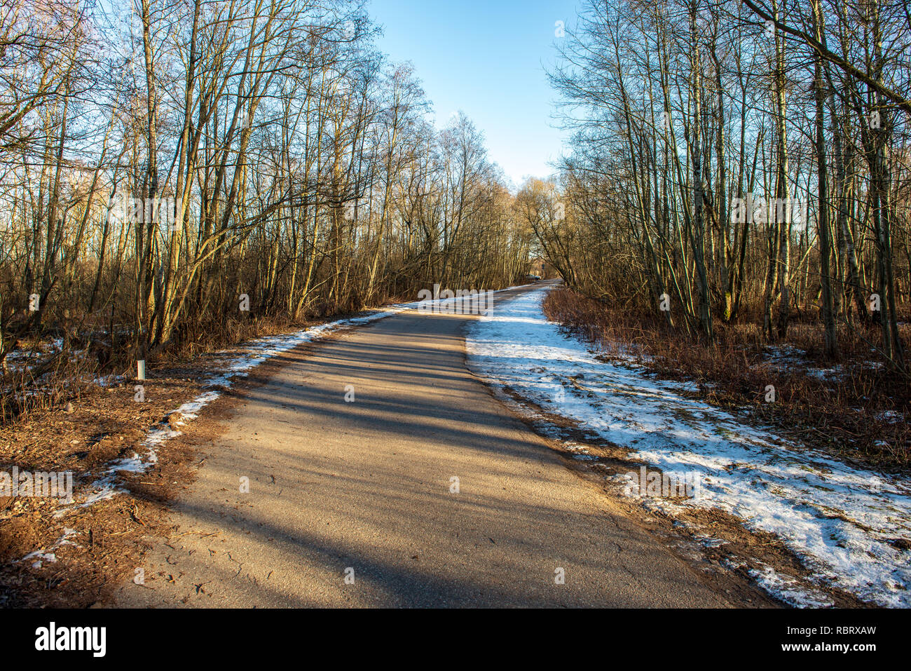 empty asphalt road in winter with shadows from forest trees and snow ...