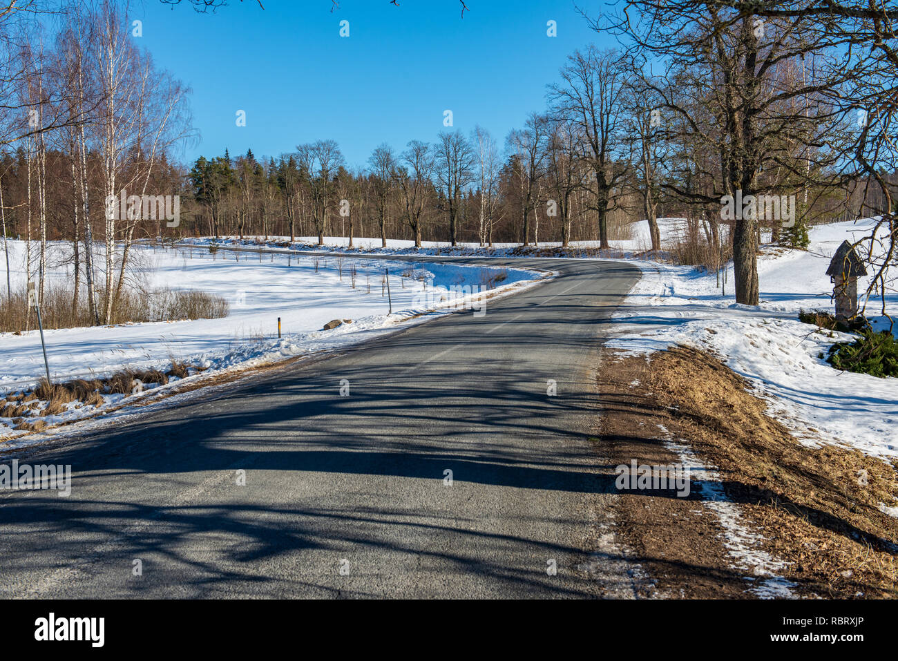empty asphalt road in winter with shadows from forest trees and snow ...
