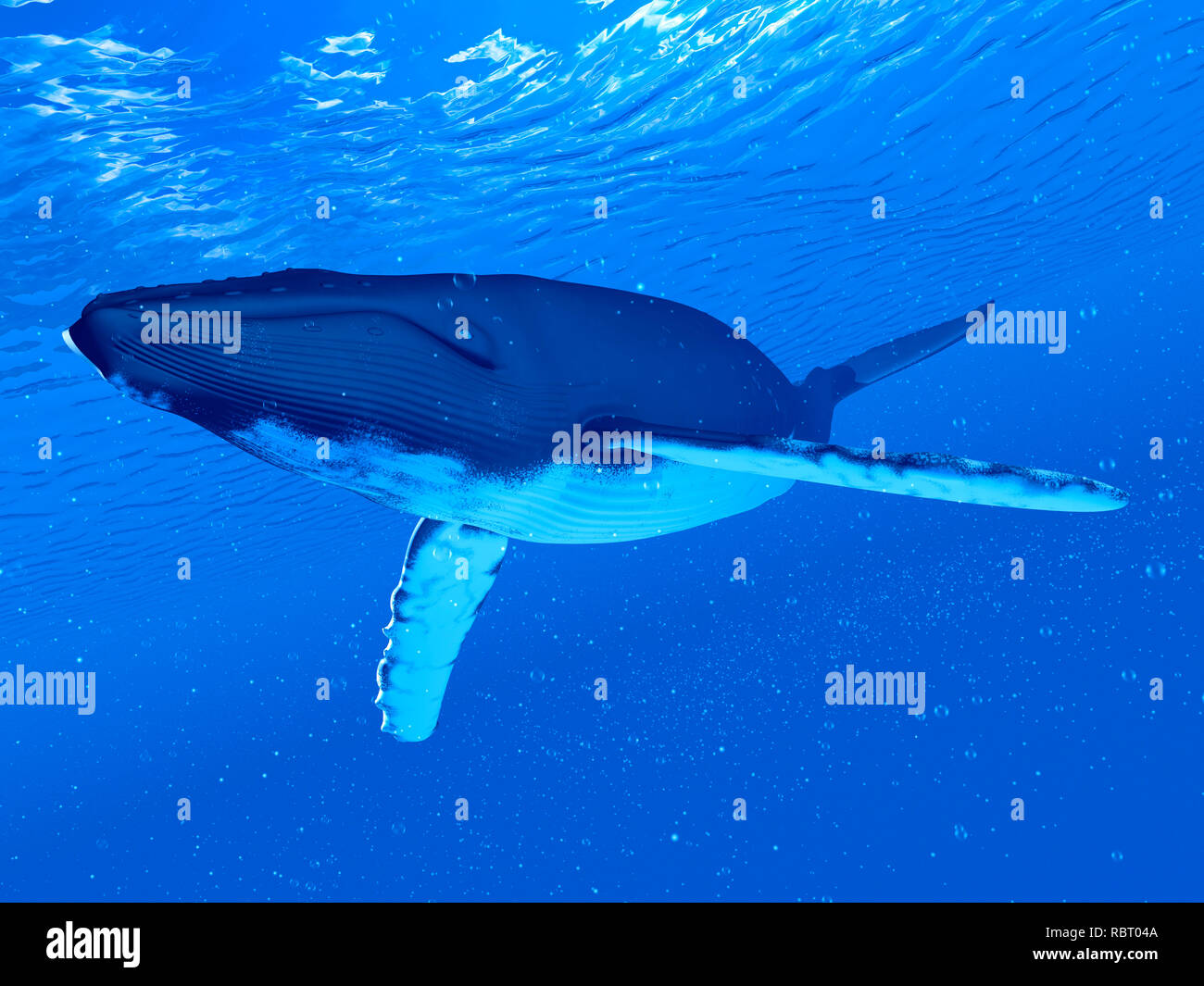 Illustration of a humpback whale Stock Photo - Alamy