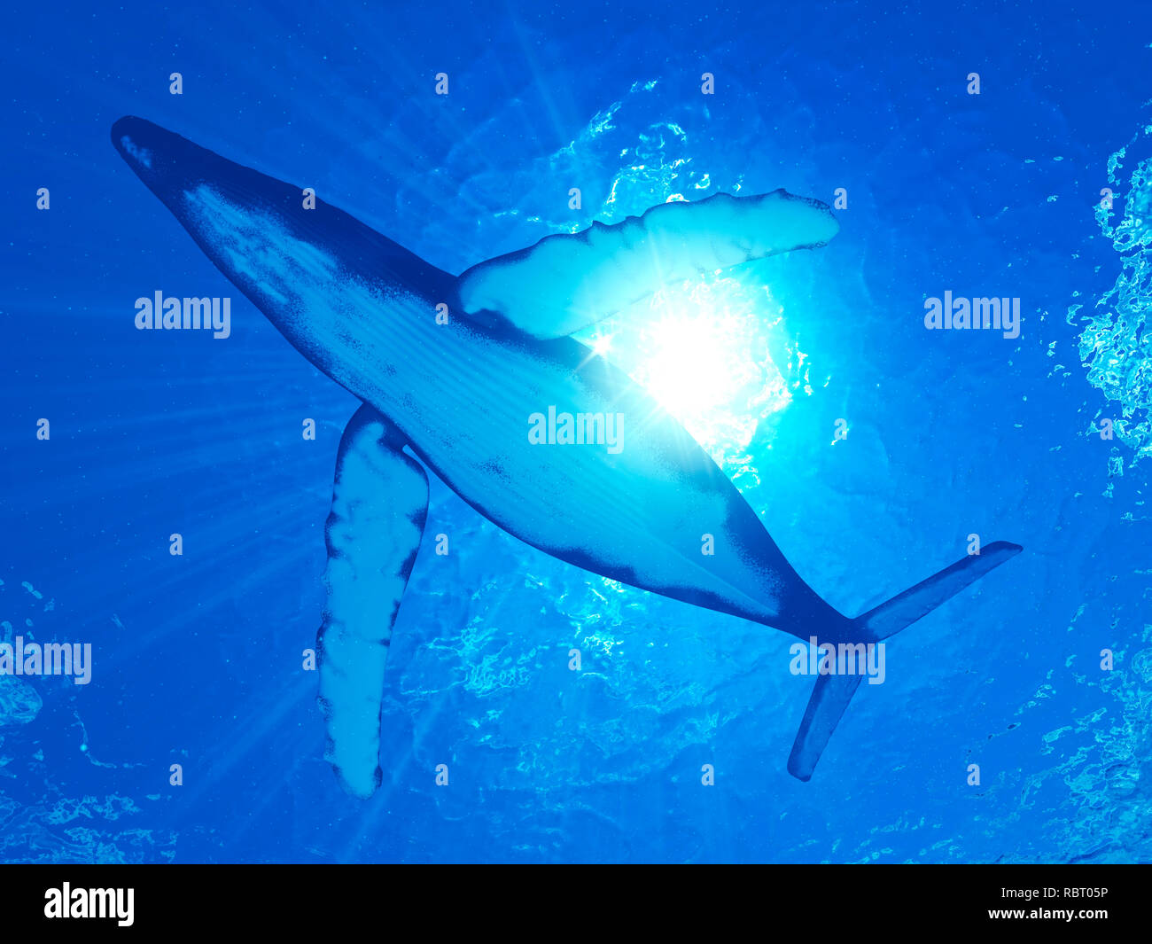 Illustration of a humpback whale Stock Photo - Alamy