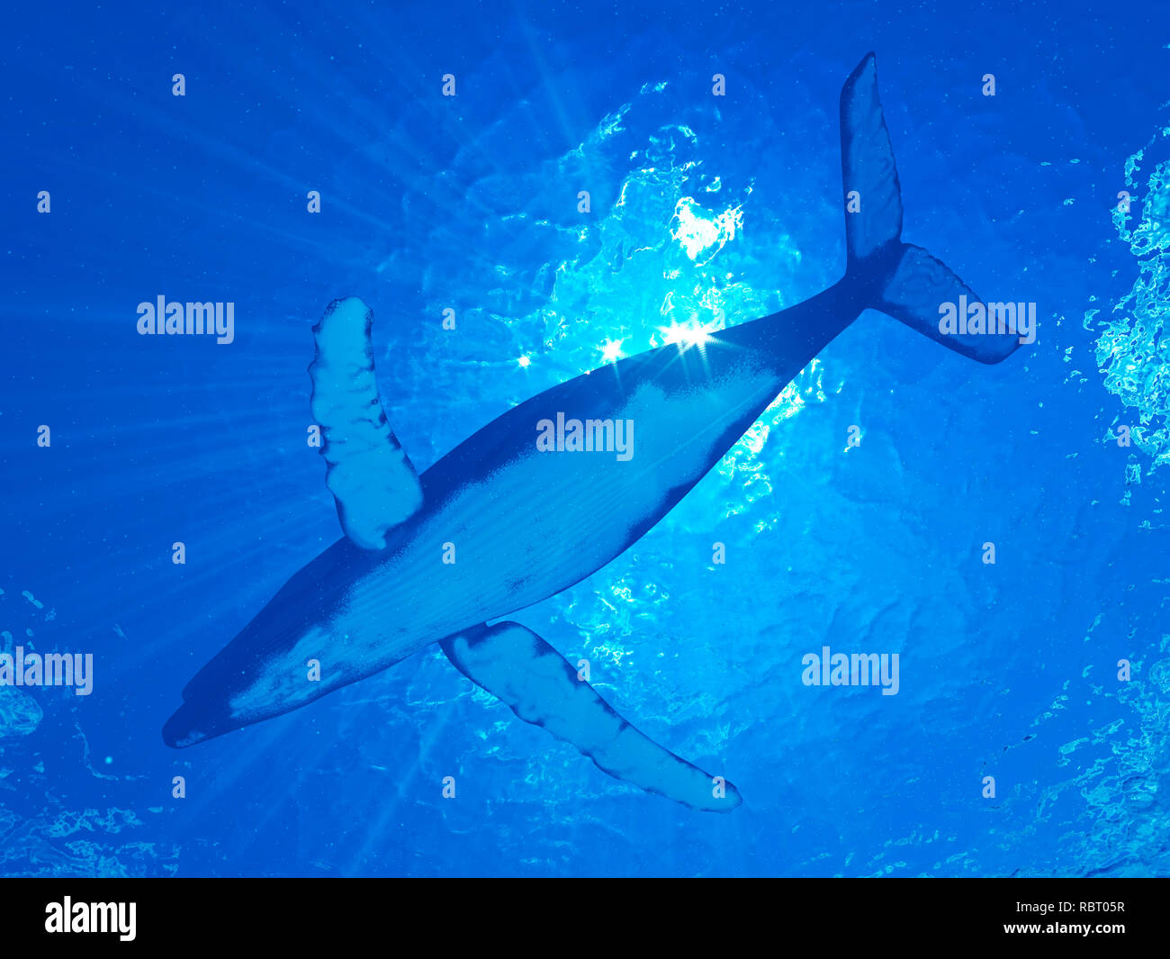 Illustration of a humpback whale Stock Photo - Alamy
