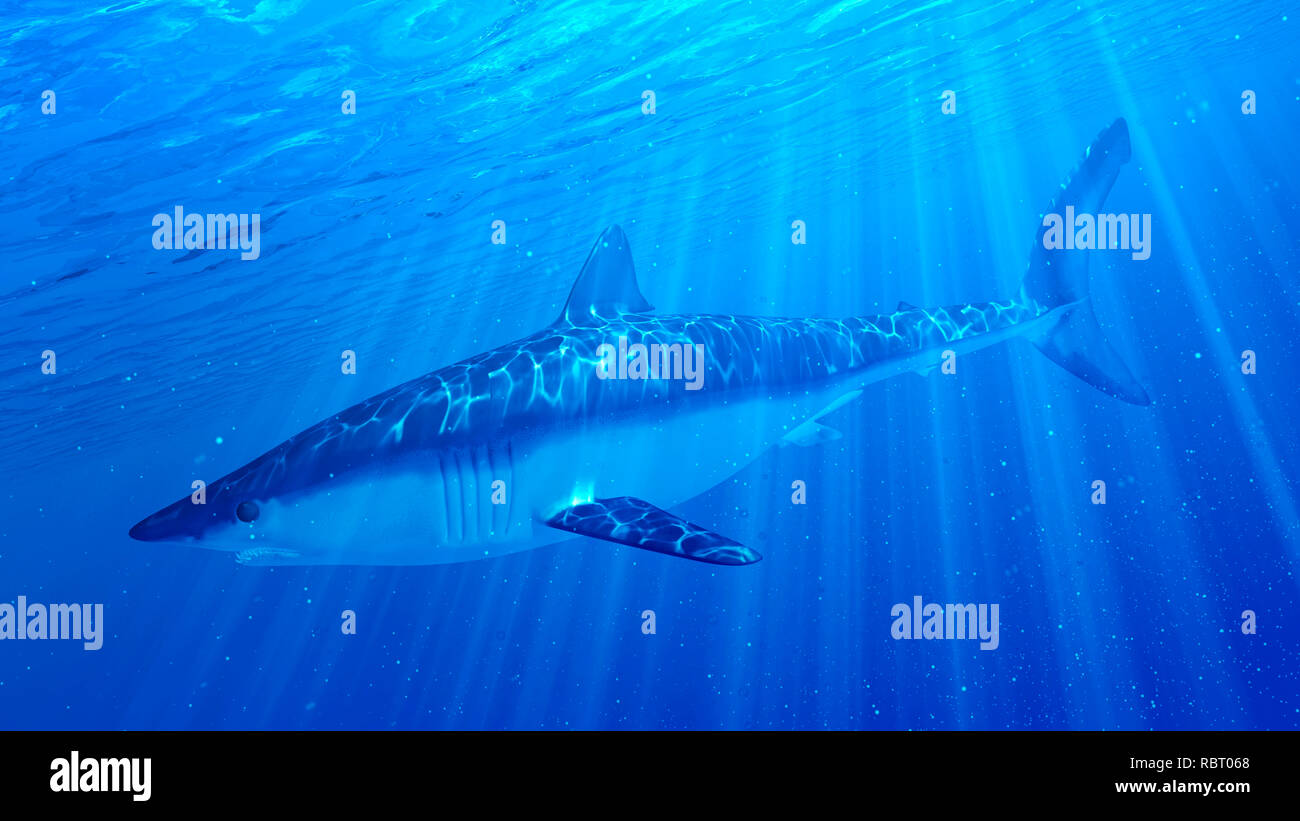Illustration of a mako shark Stock Photo - Alamy