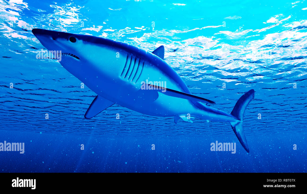 Illustration of a mako shark Stock Photo - Alamy
