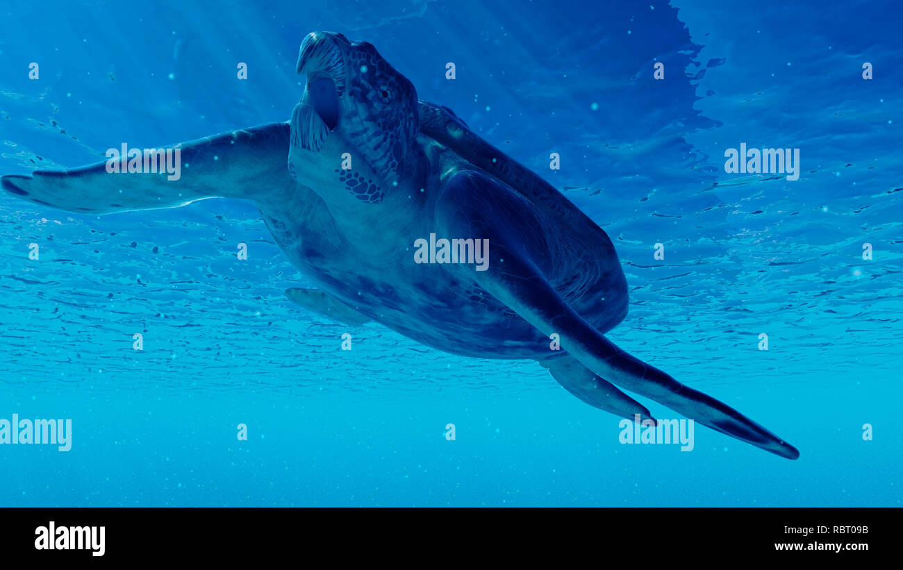 Illustration of an archelon Stock Photo - Alamy