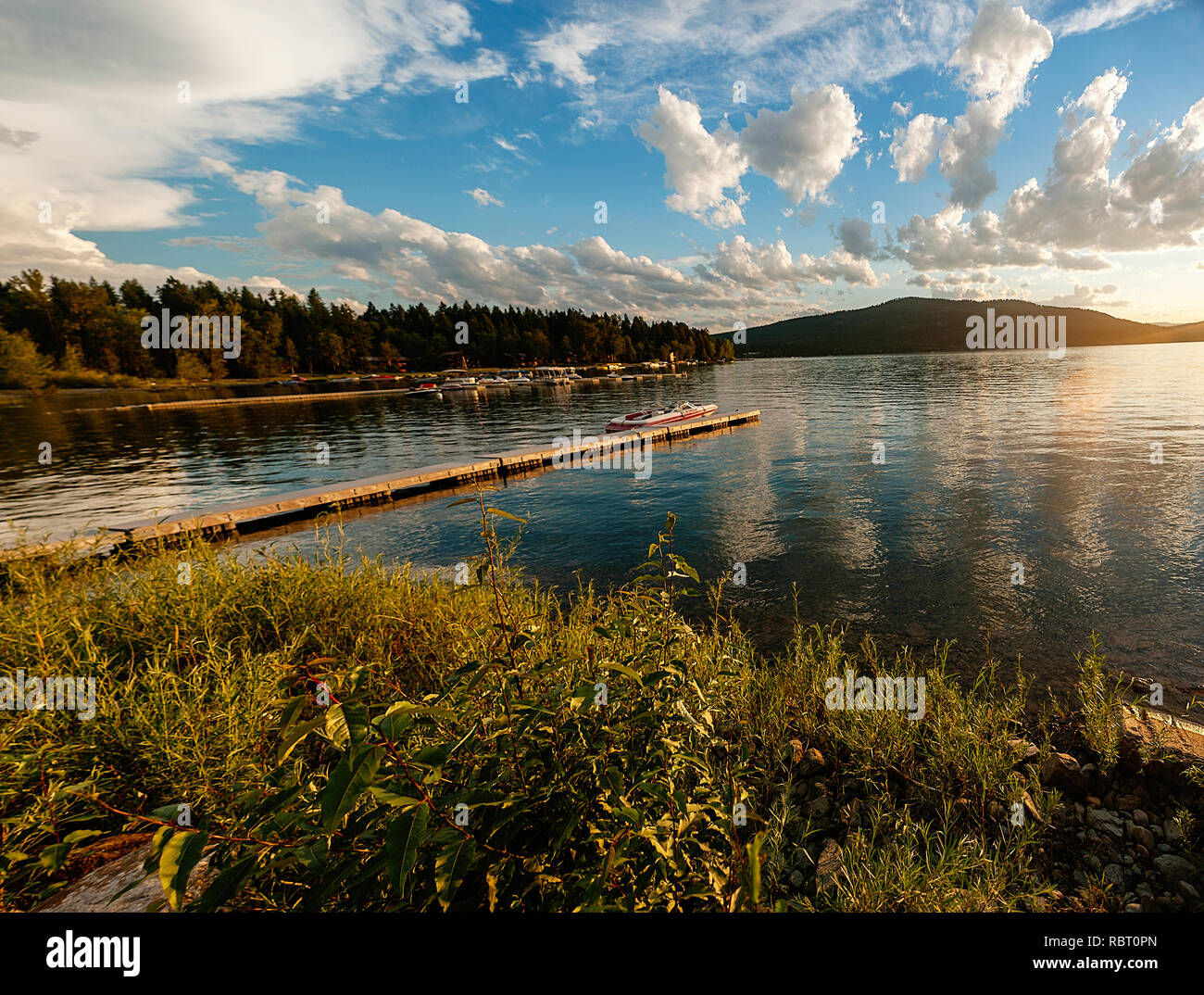 summer evening in whitefish montana Stock Photo Alamy