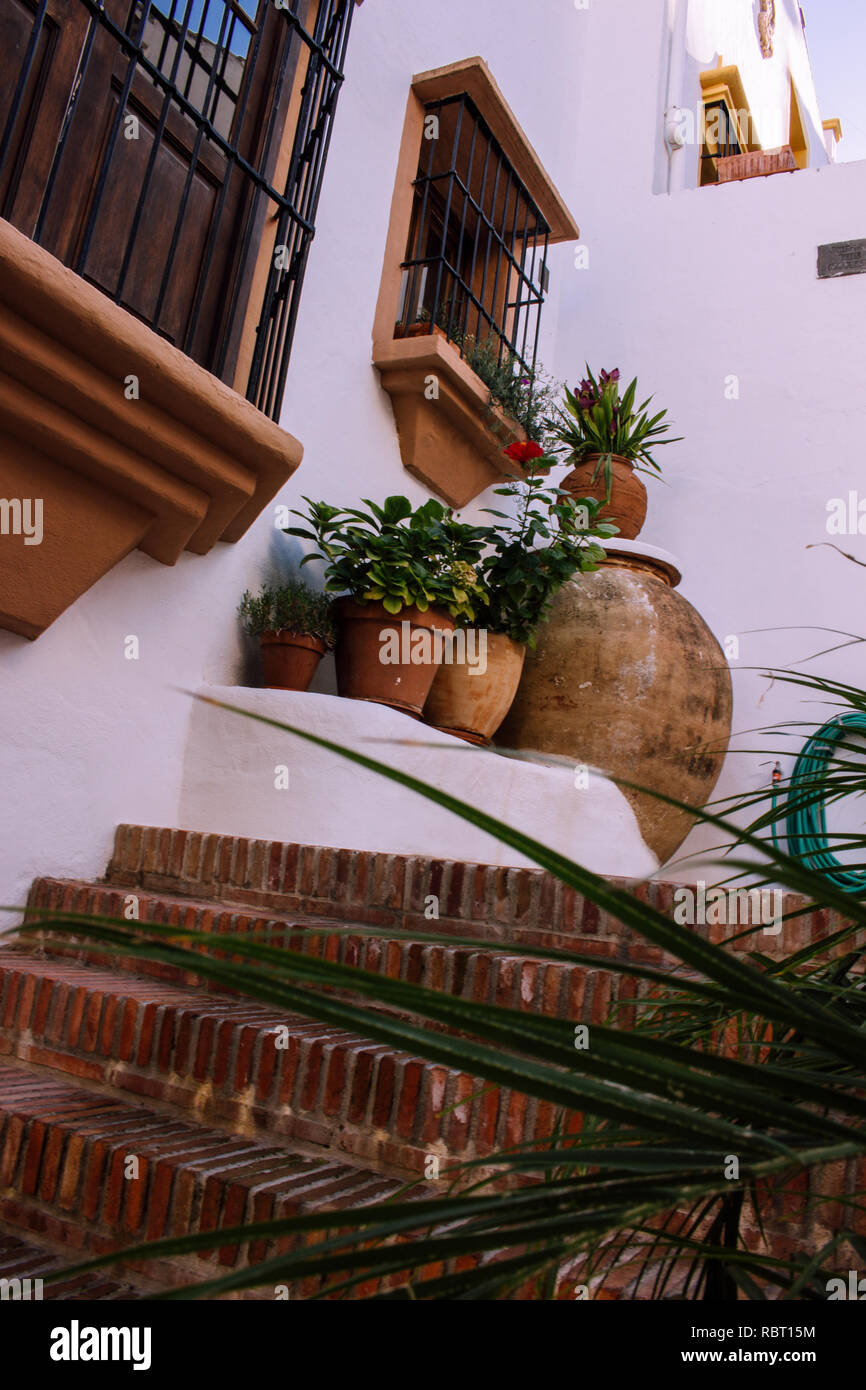 Clay pot. Traditional Spanish clay pots with flowers around the house