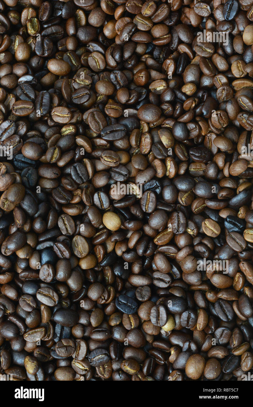roasted arabica coffee beans, can be used as a background Stock Photo ...