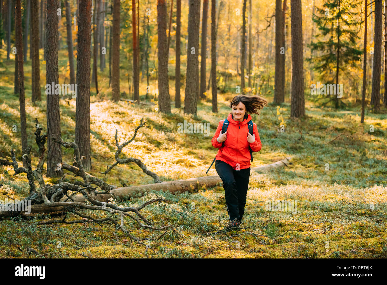 Active Young Adult Pretty Beautiful Caucasian Lady Woman Dressed In Red Jacket Walking In Autumn Green Forest. Active Lifestyle In Fall Age Nature Dur Stock Photo
