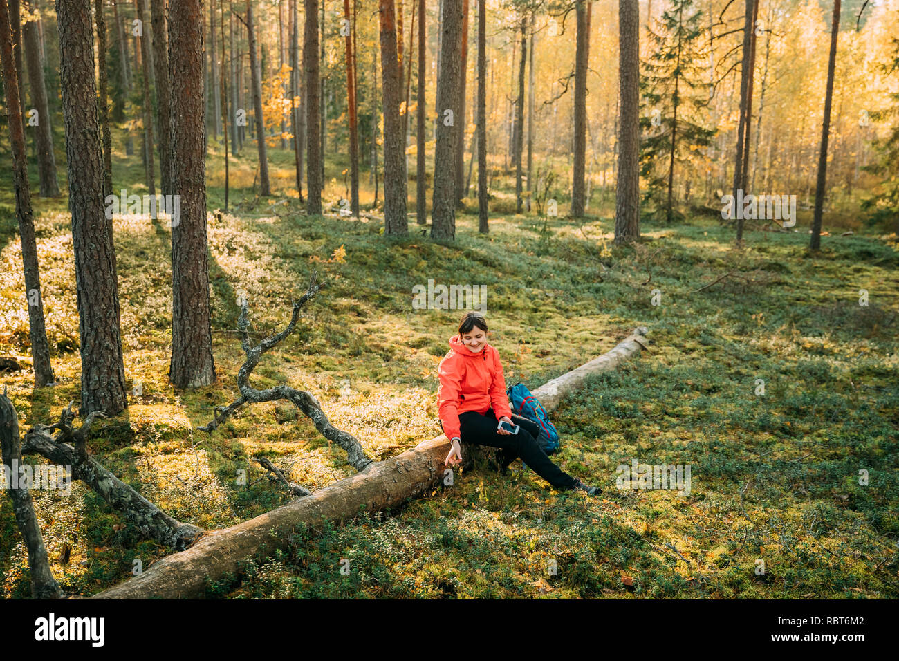 Active Young Adult Beautiful Caucasian Girl Woman Dressed In Red Jacket Resting Sitting On Fallen Tree And Using Smartphone In Autumn Sunset Green For Stock Photo