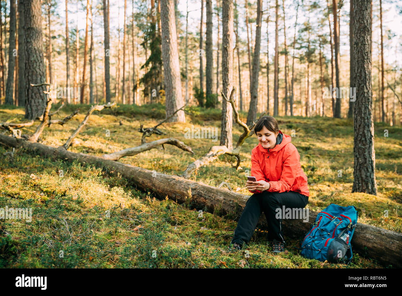 Young Adult Beautiful Caucasian Girl Woman Dressed In Red Jacket Resting Sitting On Fallen Tree And Surfing The Internet On Smartphone In Autumn Green Stock Photo