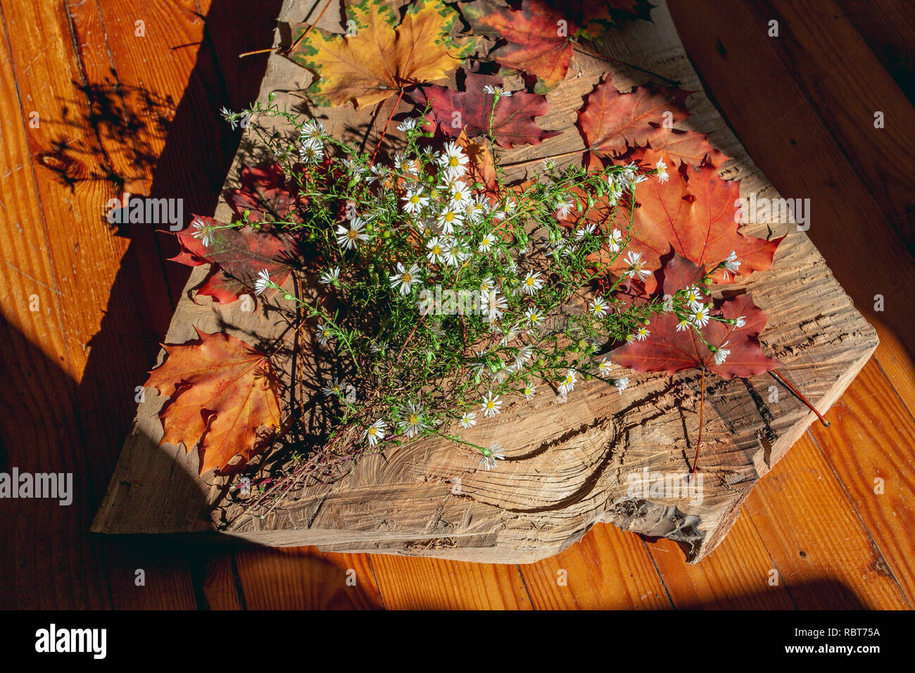 Fresh flowers and beautiful autumn leaves on a wooden board. Still life. Stock Photo