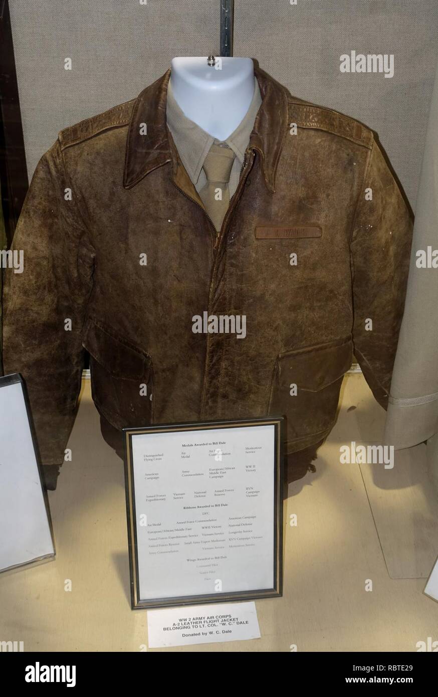 The army air corps leather flight jacket deals