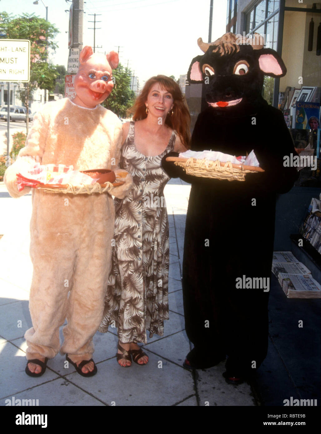 West Hollywood Ca August 12 Actress Cassandra Peterson Aka Elvira Attend Peta S Event For The Compassionate Cook Or Please Don T Eat The Animals Book On August 12 1993 At Book Soup