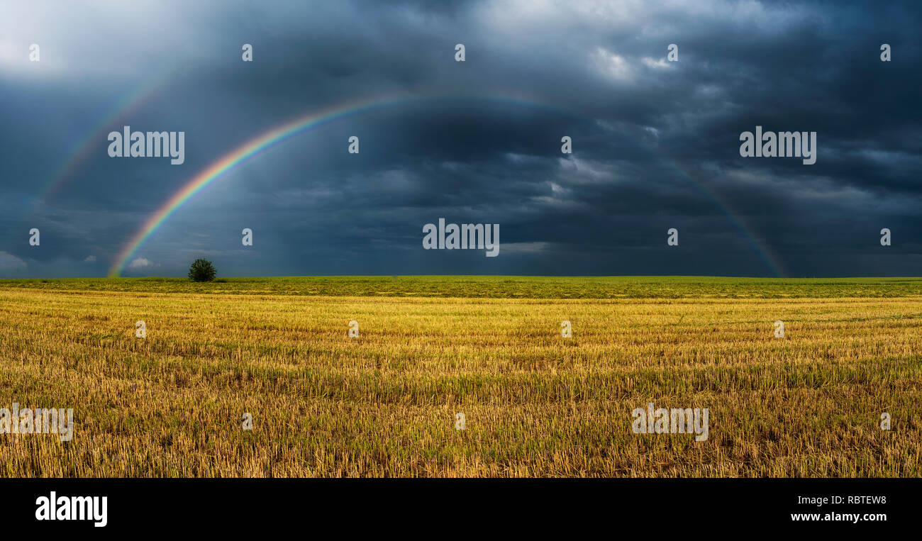rainbow over the plants Stock Photo