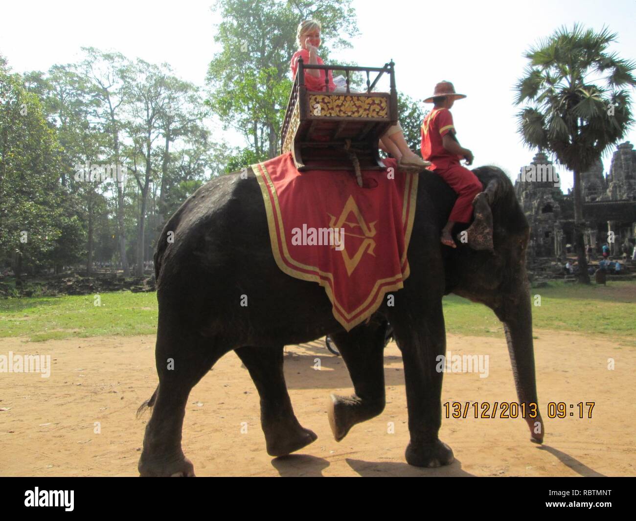 Vietnam elephant ride hi-res stock photography and images - Alamy