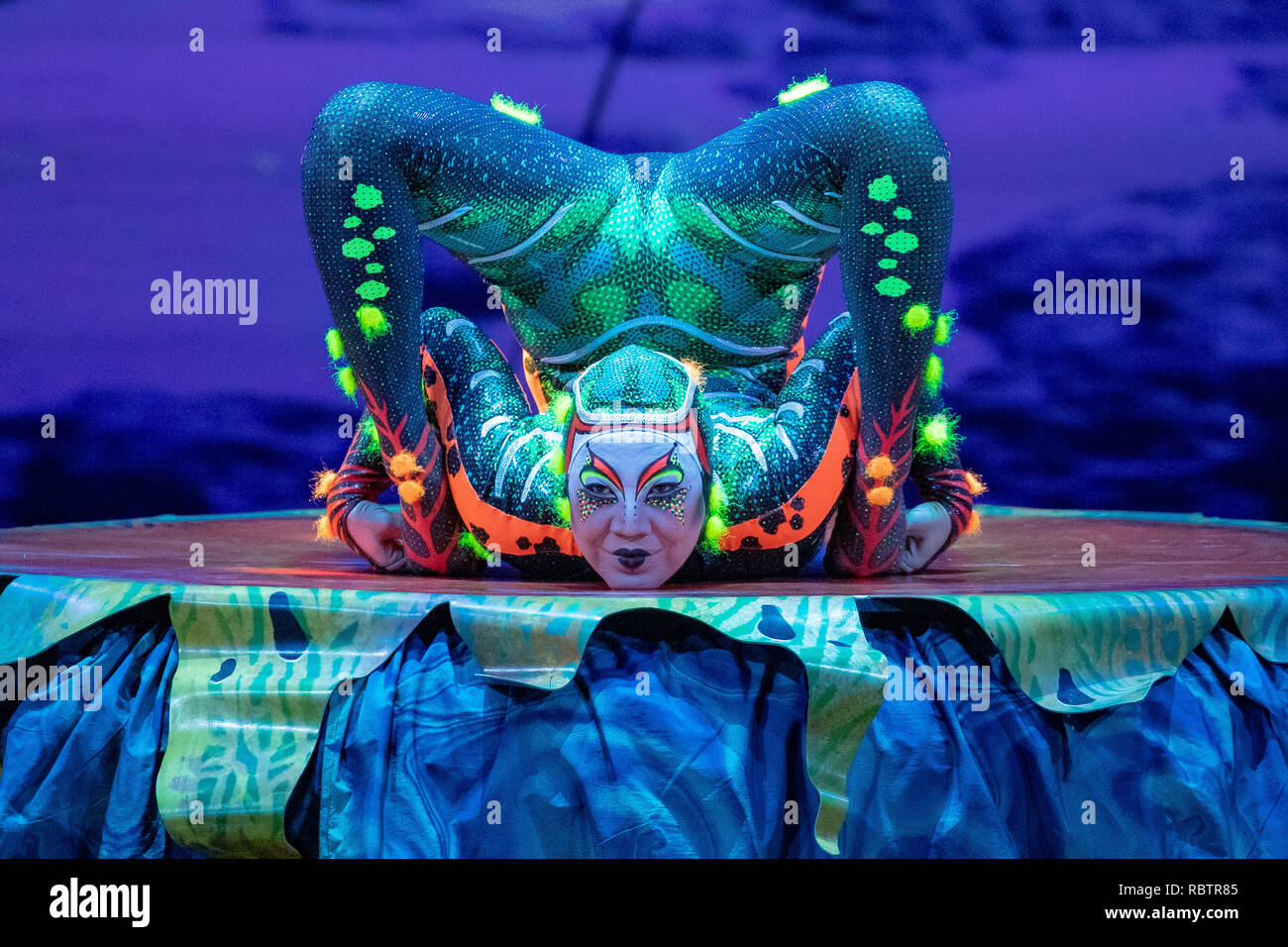 London, England. 11th January 201, Cast members of Cirque Du Soleil perform in 'Cirque Du Soleil's Totem' dress rehearsal at The Royal Albert Hall ,England, © Jason Richardson / Alamy Live News Stock Photo