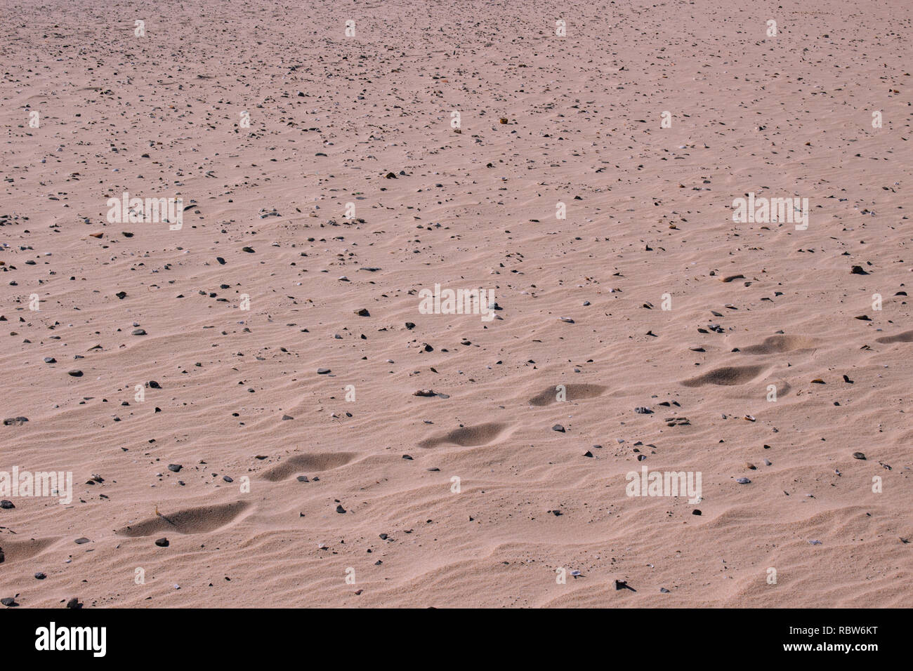 Footprints. Footprints of a man in the sand of the beach Stock Photo ...