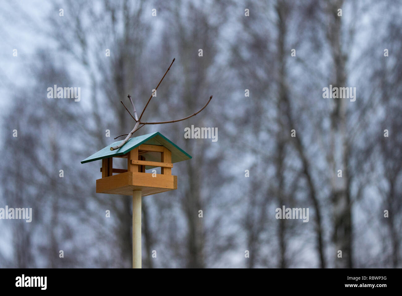 Bird Feeders Tree House For The Birds Cheerful Apartment Stock