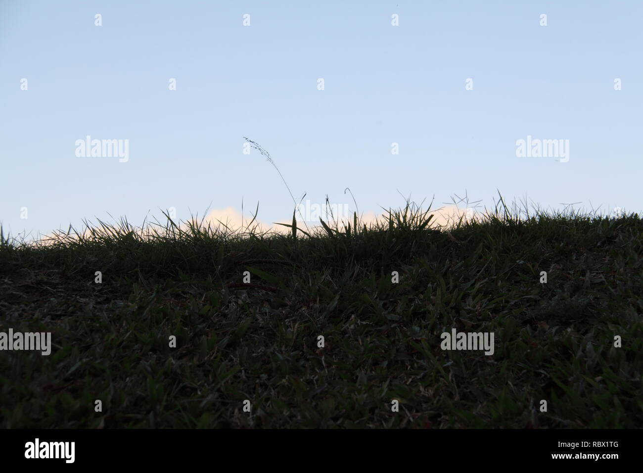 Uphill View of Grassy Slope with Blue Sky in the Evening Stock Photo
