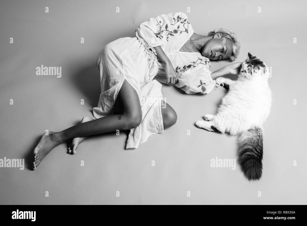 Young beautiful rebellious woman with short hair with Persian cat Stock Photo