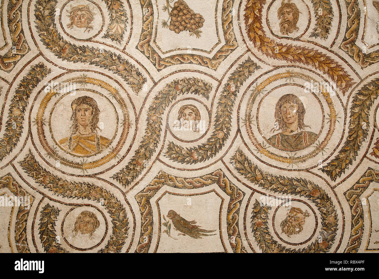 Museum hall Roman mosaics, Bardo National Museum, Tunis, Tunisia, Africa Stock Photo