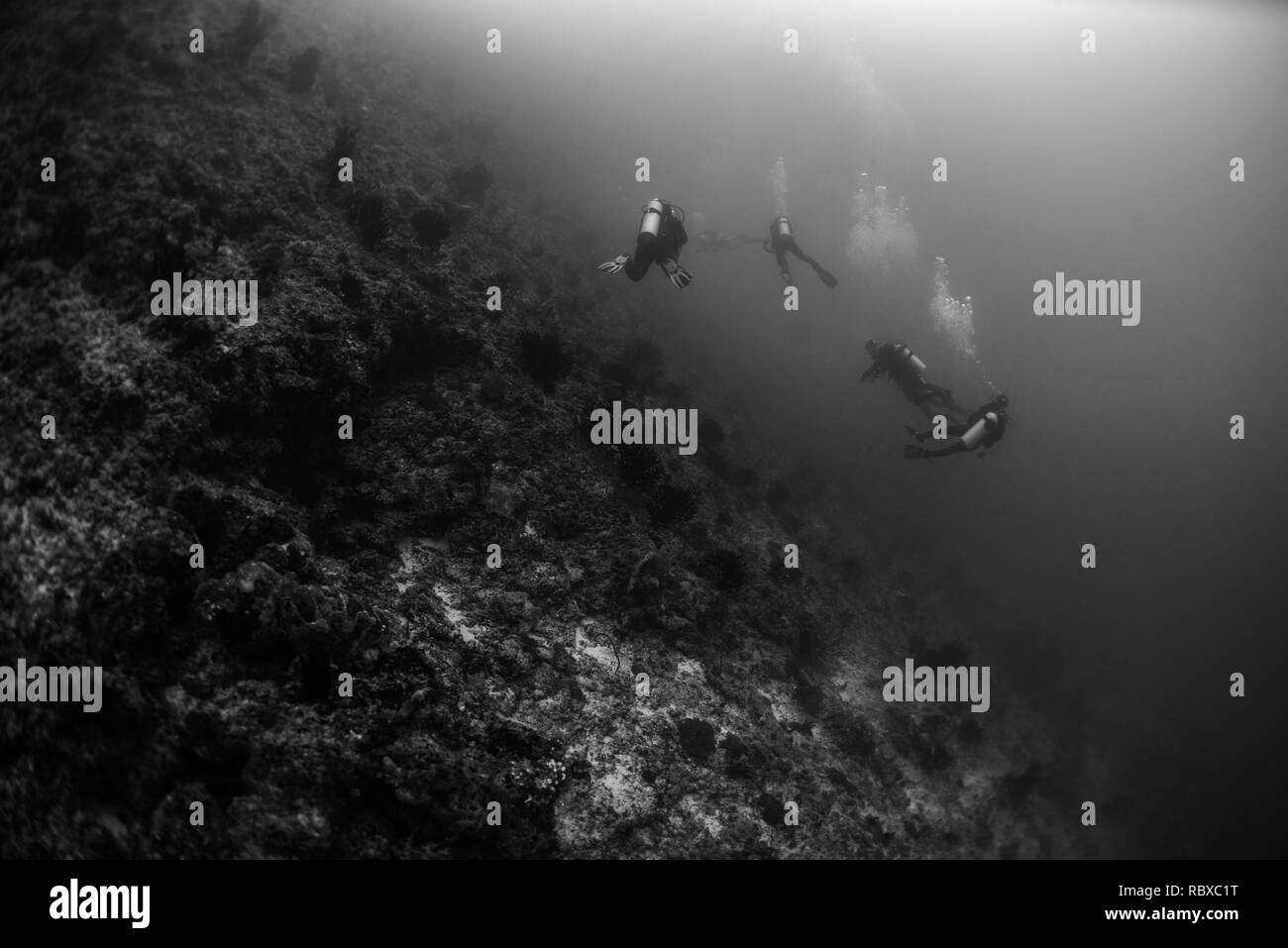 Divers indian ocean Black and White Stock Photos & Images - Alamy