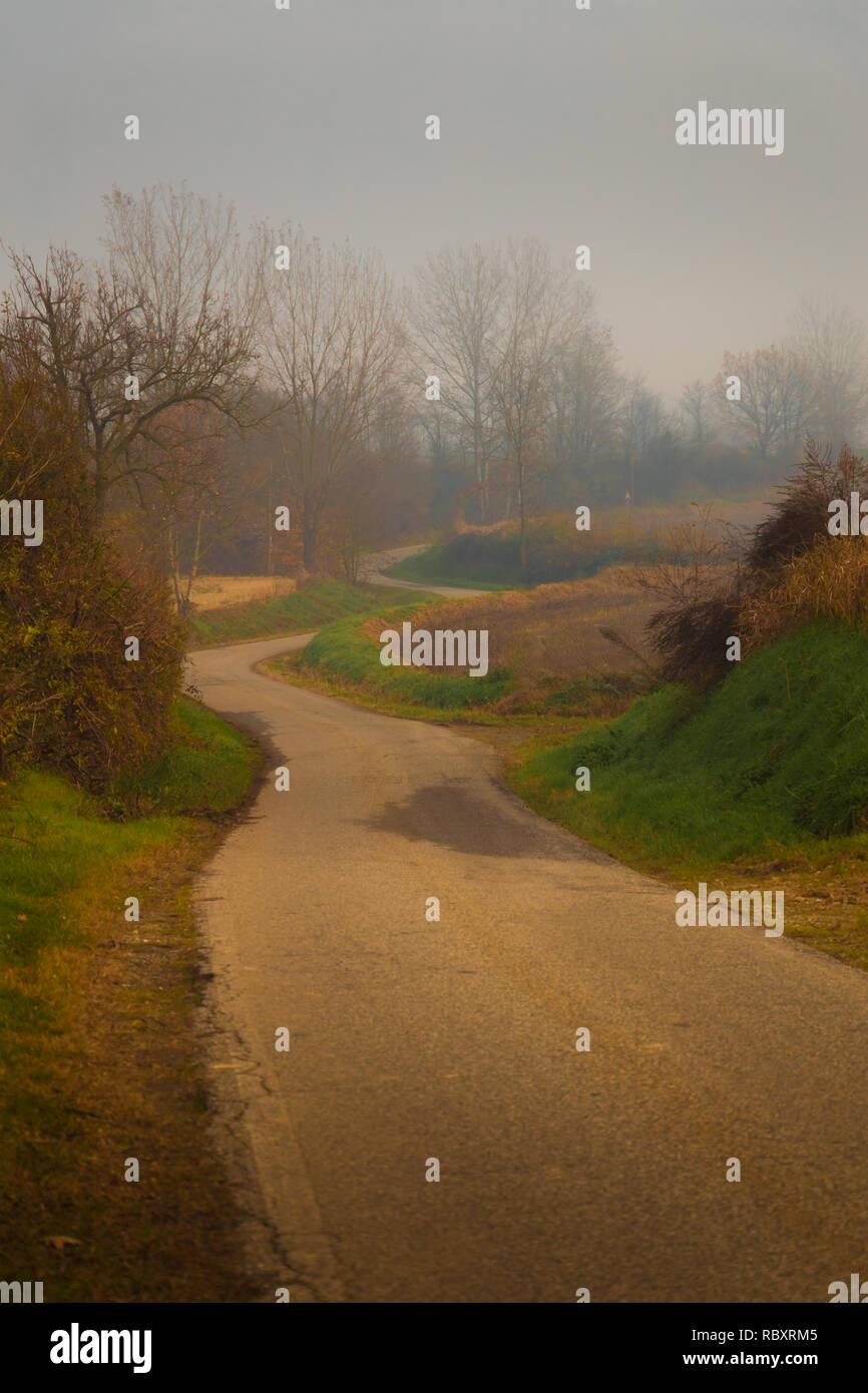 Asphalt country road in autumn with fog and poor visibility Stock Photo ...