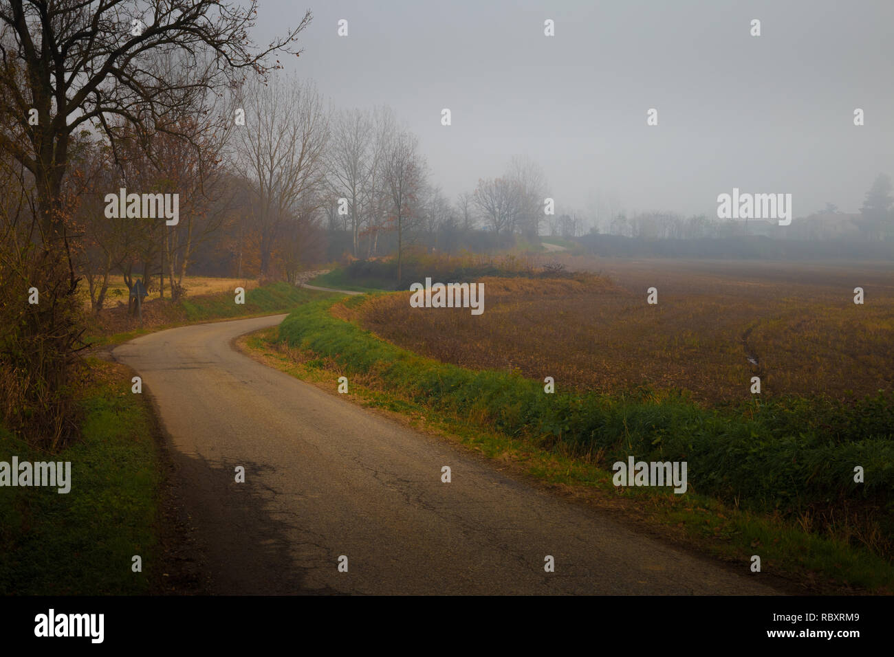 Asphalt country road in autumn with fog and poor visibility Stock Photo ...