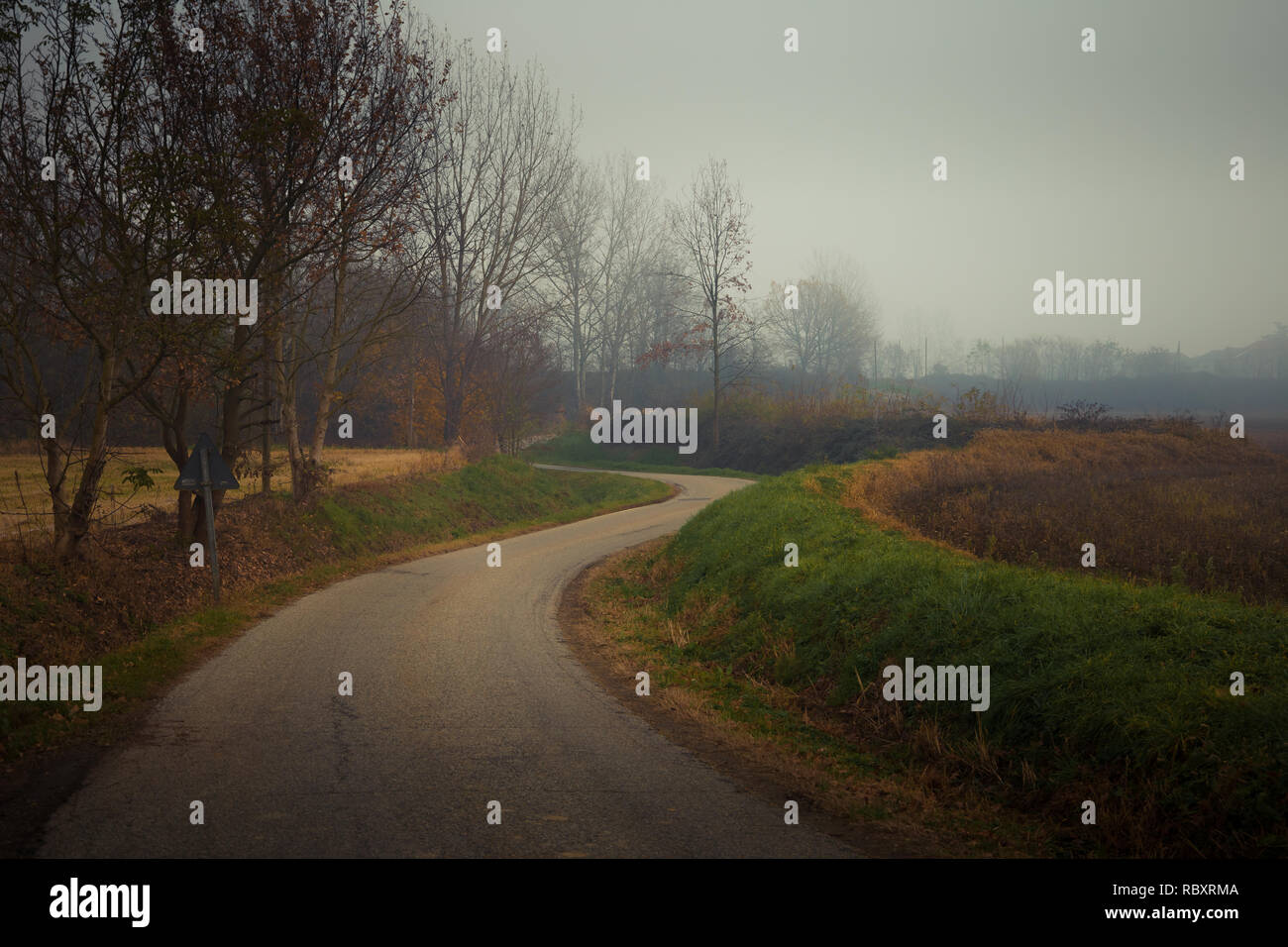 Asphalt country road in autumn with fog and poor visibility Stock Photo ...