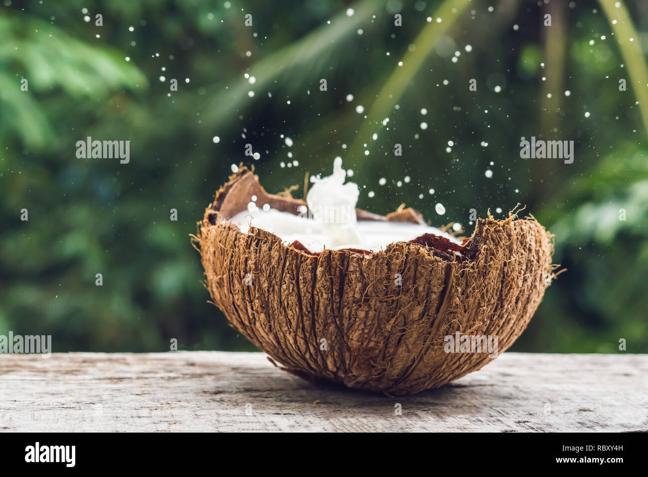 Coconuthalf hires stock photography and images Alamy