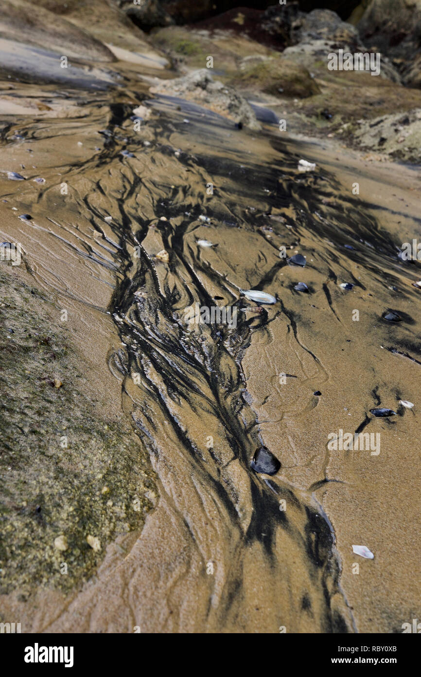 Sand tributaries with black ink like water Stock Photo