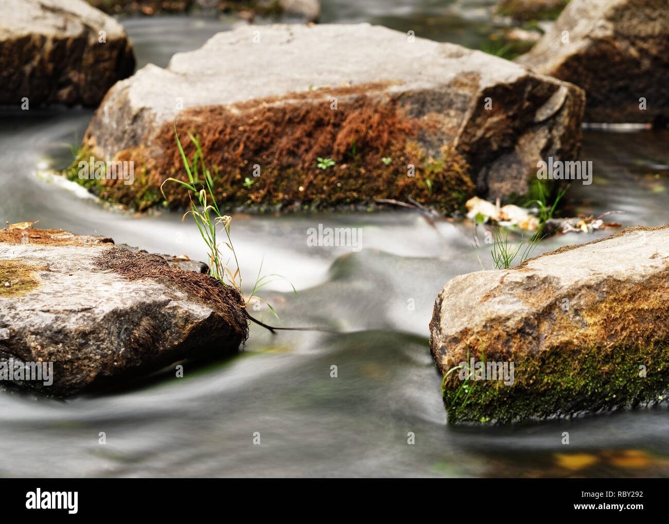 Detail view of flowing water of a small river, the water flowing past rocks covered with moss and single tufts of grass, narrow sharpening zone, flowi Stock Photo