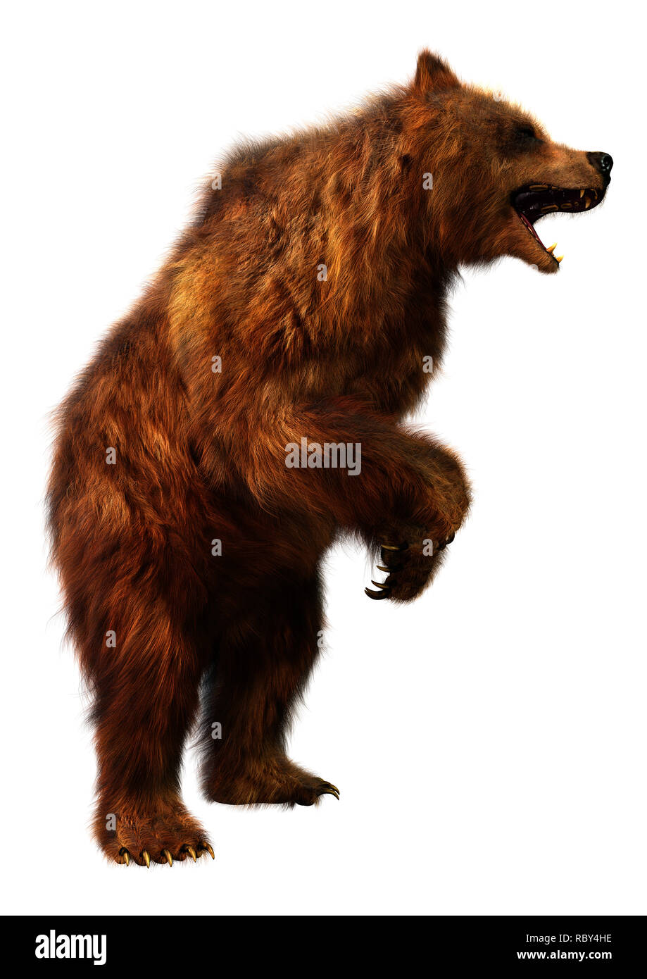 3D rendering of a brown bear isolated on white background Stock Photo ...