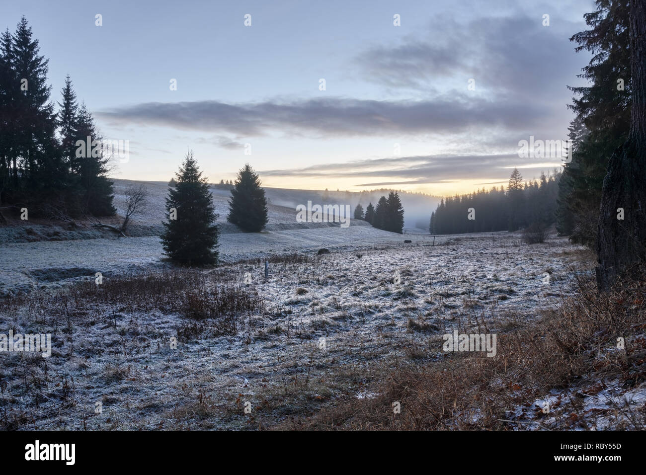 Flat valley with an ice-covered flood plain, individual trees, misty mood, evening sky with colors and cloud formation - Location Germany, Osterzgebir Stock Photo