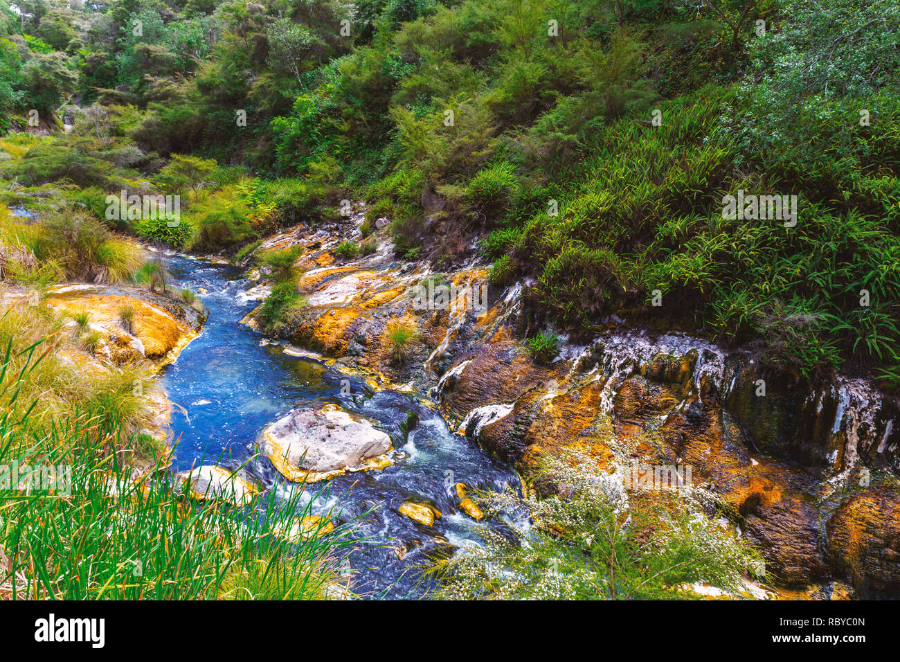 Geothermal river in waimangu hi-res stock photography and images - Alamy