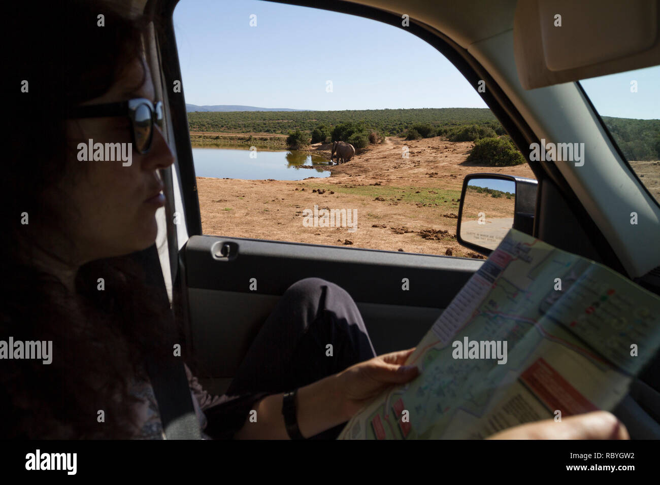 Passenger in car on safari looking at the map of Addo Elephant National Park, South Africa Stock Photo