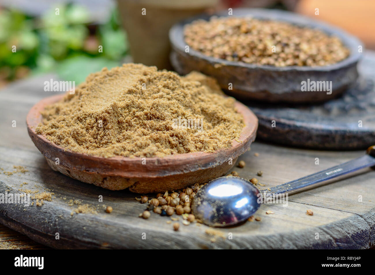 Old clay bowls wirh dried coriander seeds and coriander powder close up ...