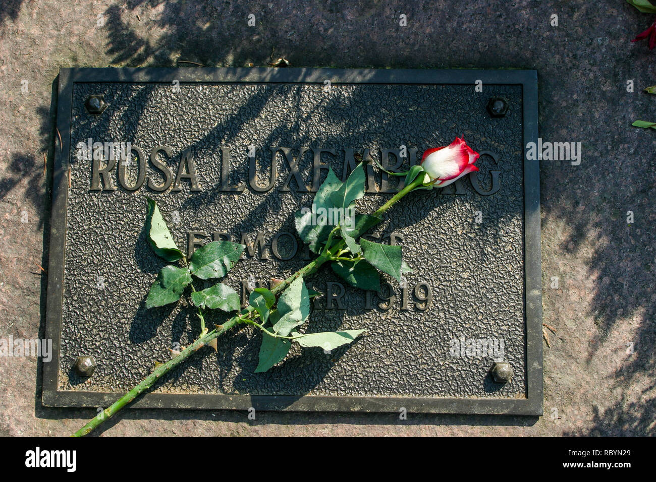 Rosa Luxemburg's grave at Friedrichsfelde cemetery, Berlin, Germany Stock Photo