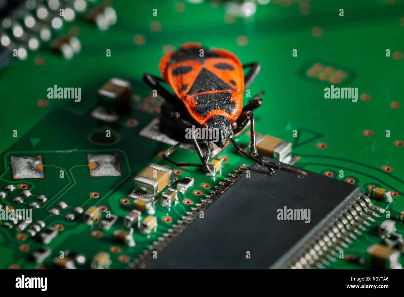 a computer bug causing trouble - on a circuit board Stock Photo