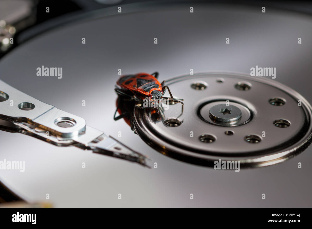 a computer bug causing trouble - on the hard drive Stock Photo