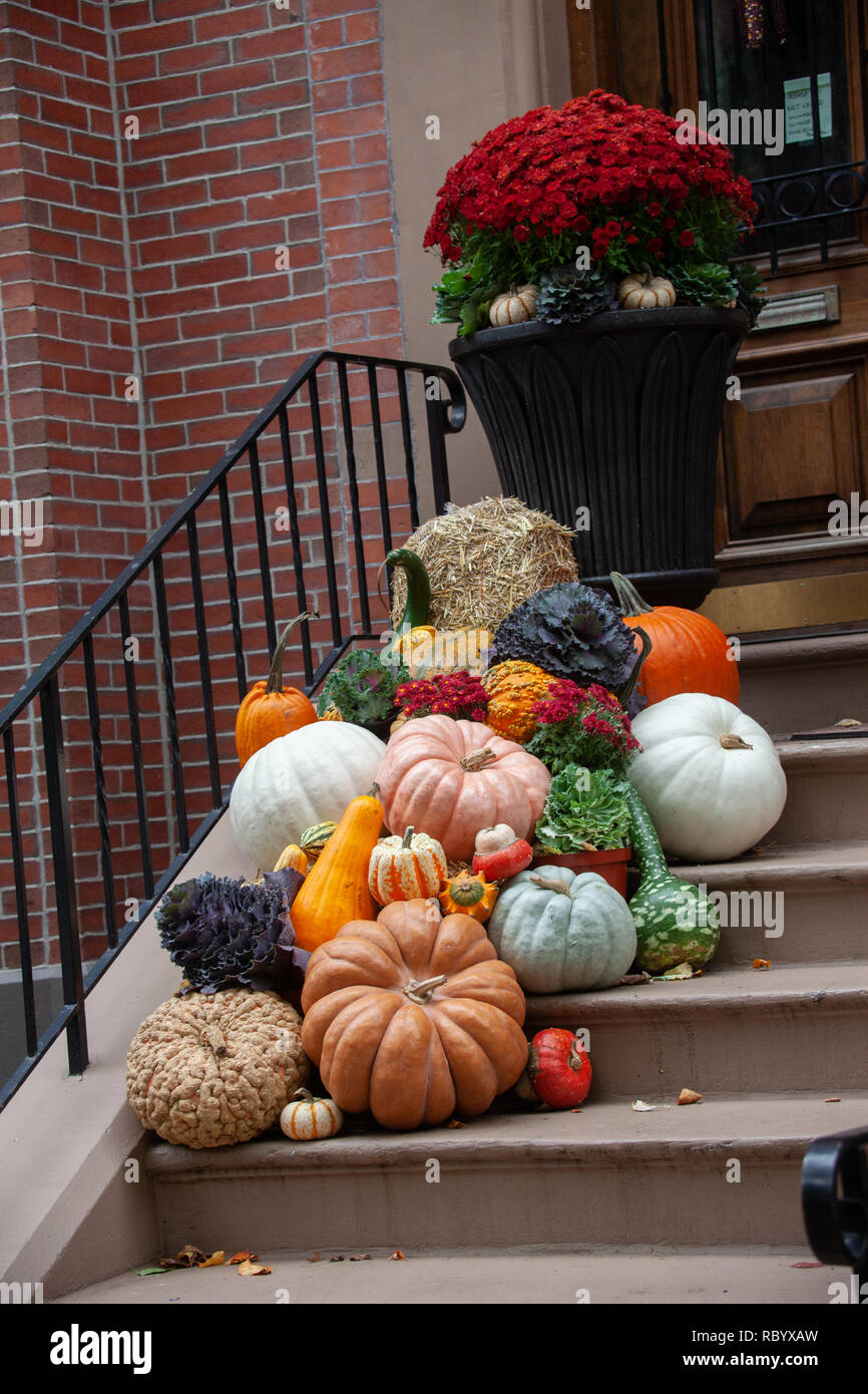 A display of pumpkins and gourds on the steps of a brownstone house on ...