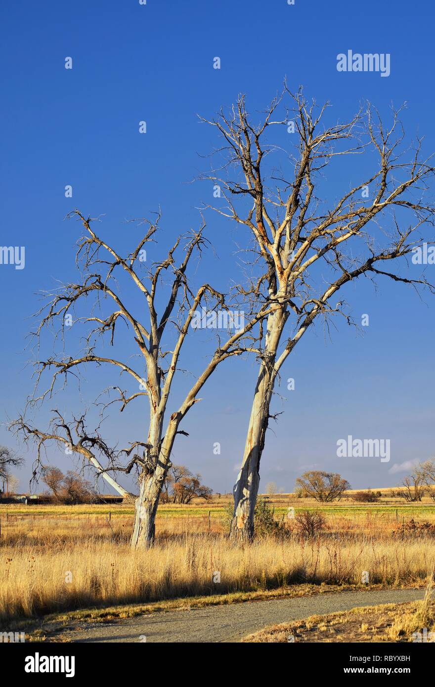 Views from the Cradleboard Trail walking path on the Carolyn Holmberg