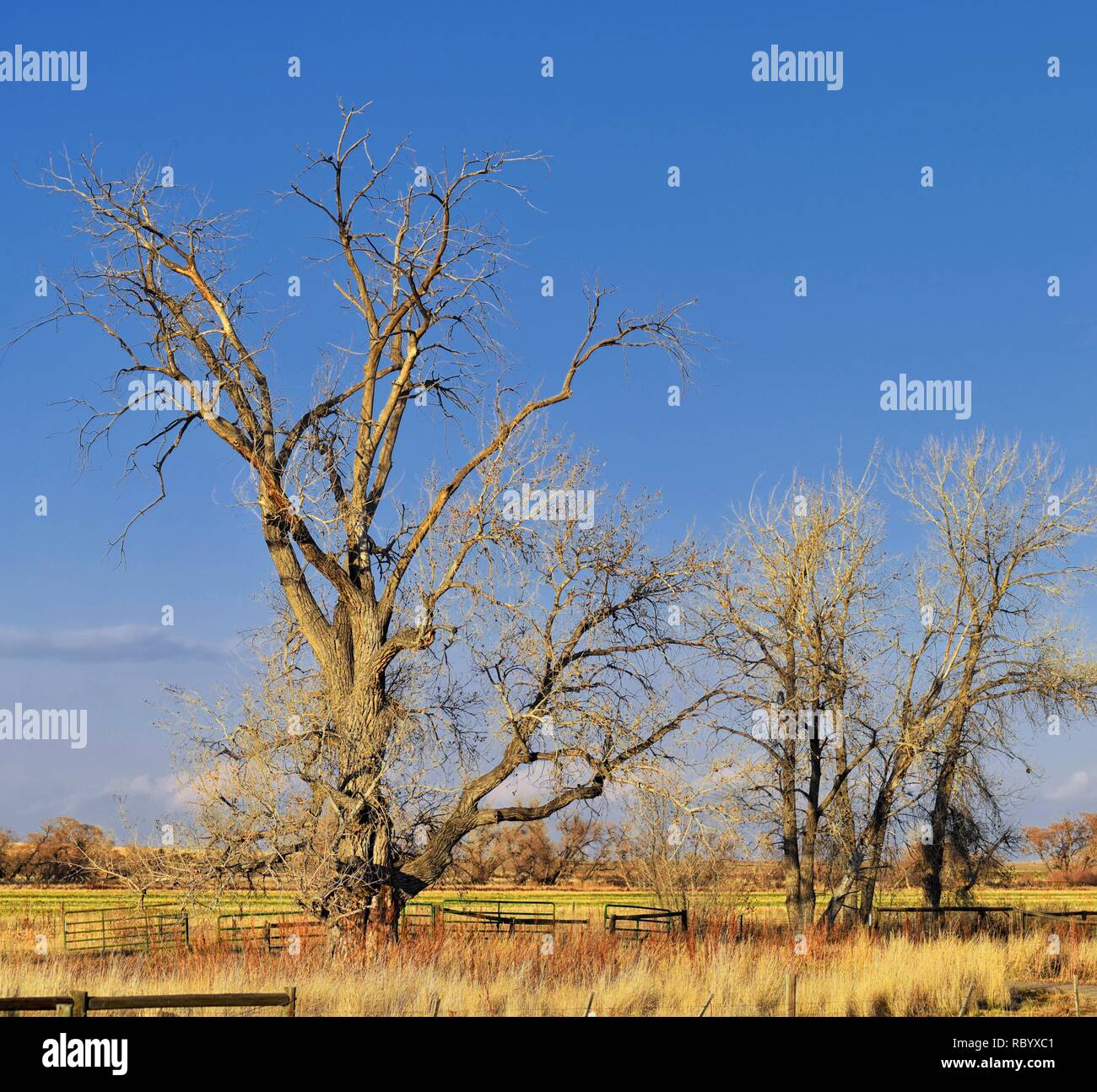 Views from the Cradleboard Trail walking path on the Carolyn Holmberg