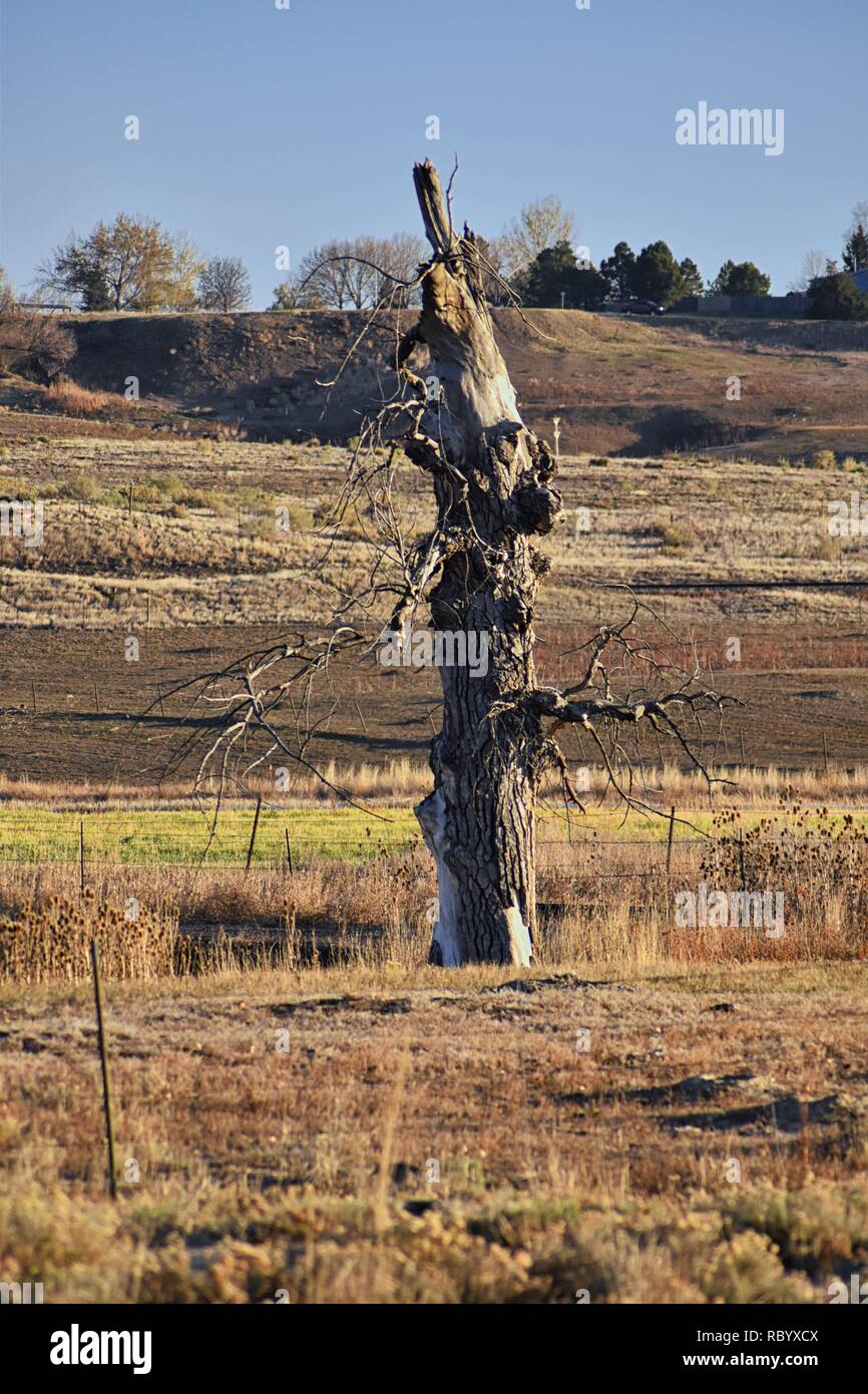 Views from the Cradleboard Trail walking path on the Carolyn Holmberg