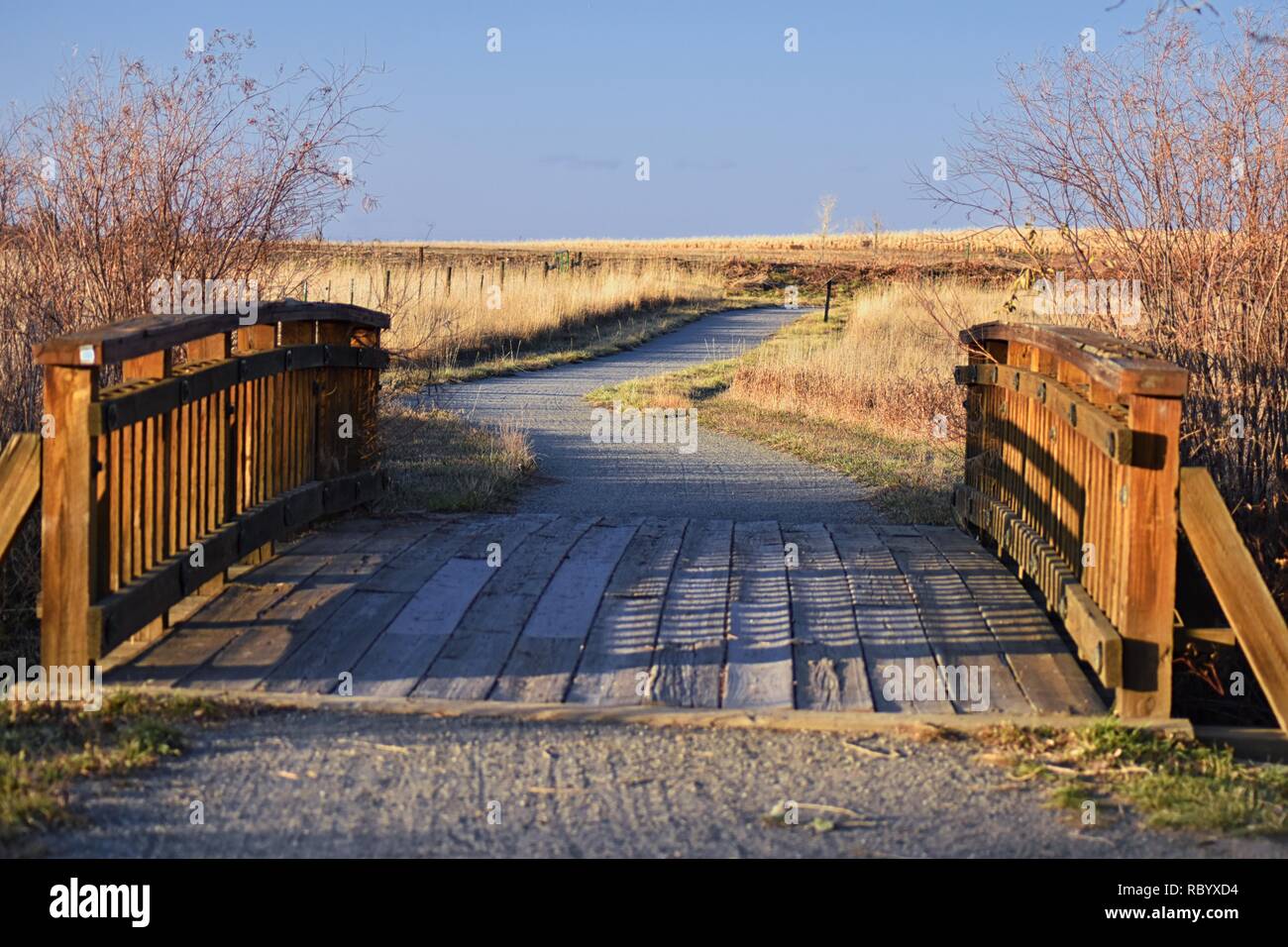 Views from the Cradleboard Trail walking path on the Carolyn Holmberg