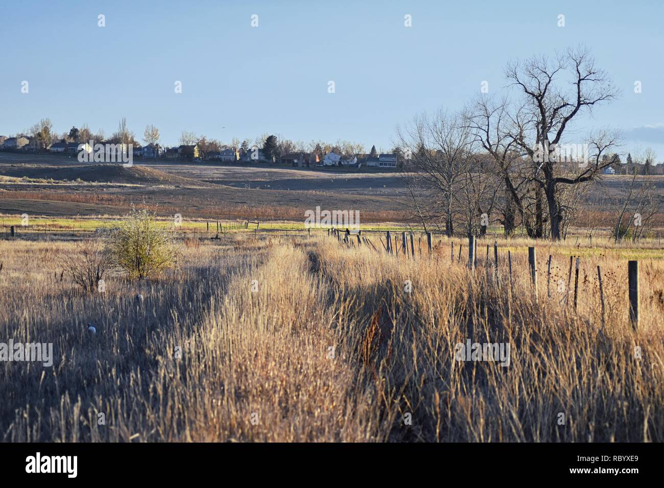 Views from the Cradleboard Trail walking path on the Carolyn Holmberg
