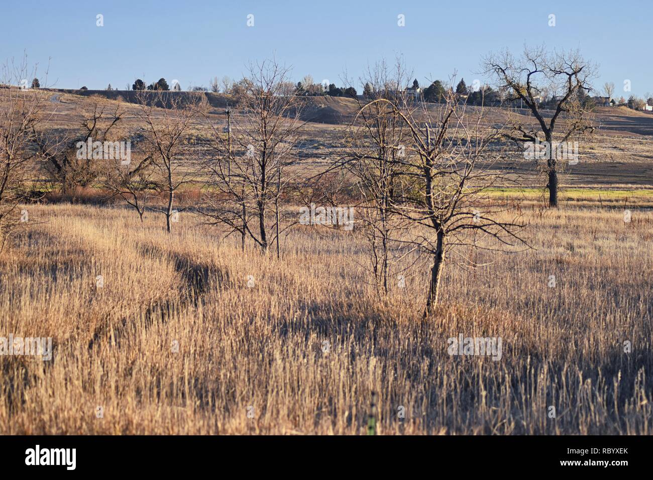Views from the Cradleboard Trail walking path on the Carolyn Holmberg