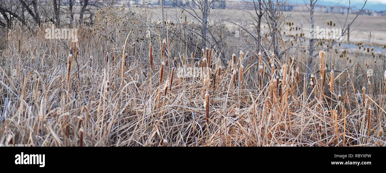 Views from the Cradleboard Trail walking path on the Carolyn Holmberg