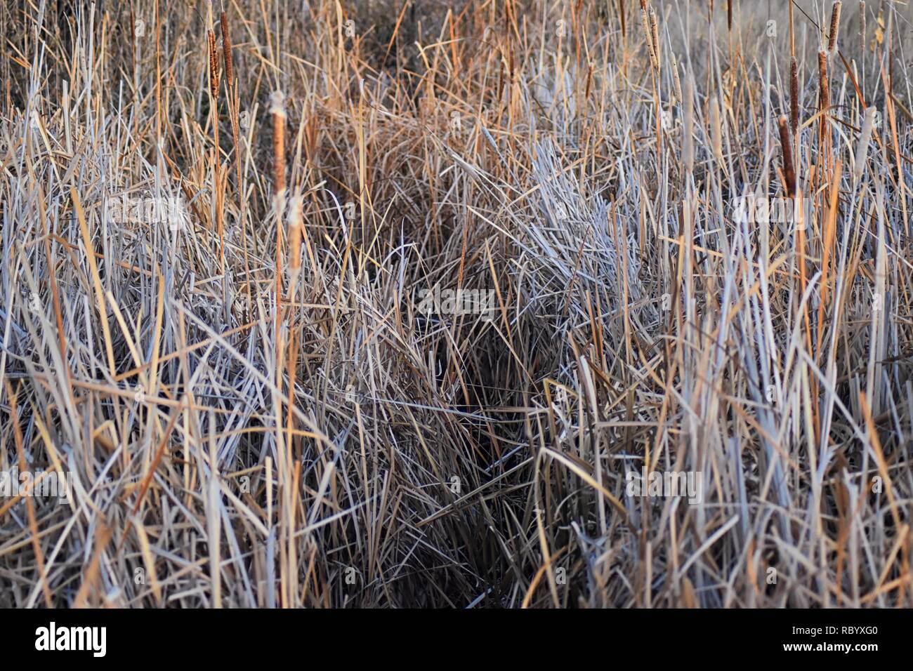 Views from the Cradleboard Trail walking path on the Carolyn Holmberg