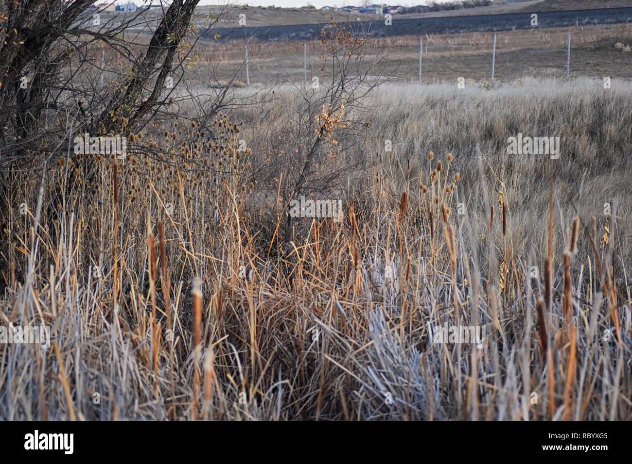 Views from the Cradleboard Trail walking path on the Carolyn Holmberg
